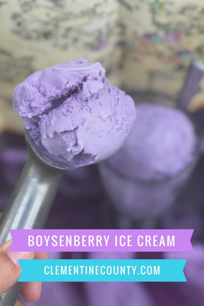 Boysenberry Ice Cream Recipe