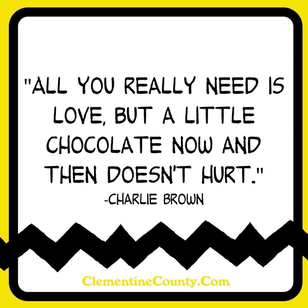 Best Charlie Brown Quotes for Instagram | Clementine County