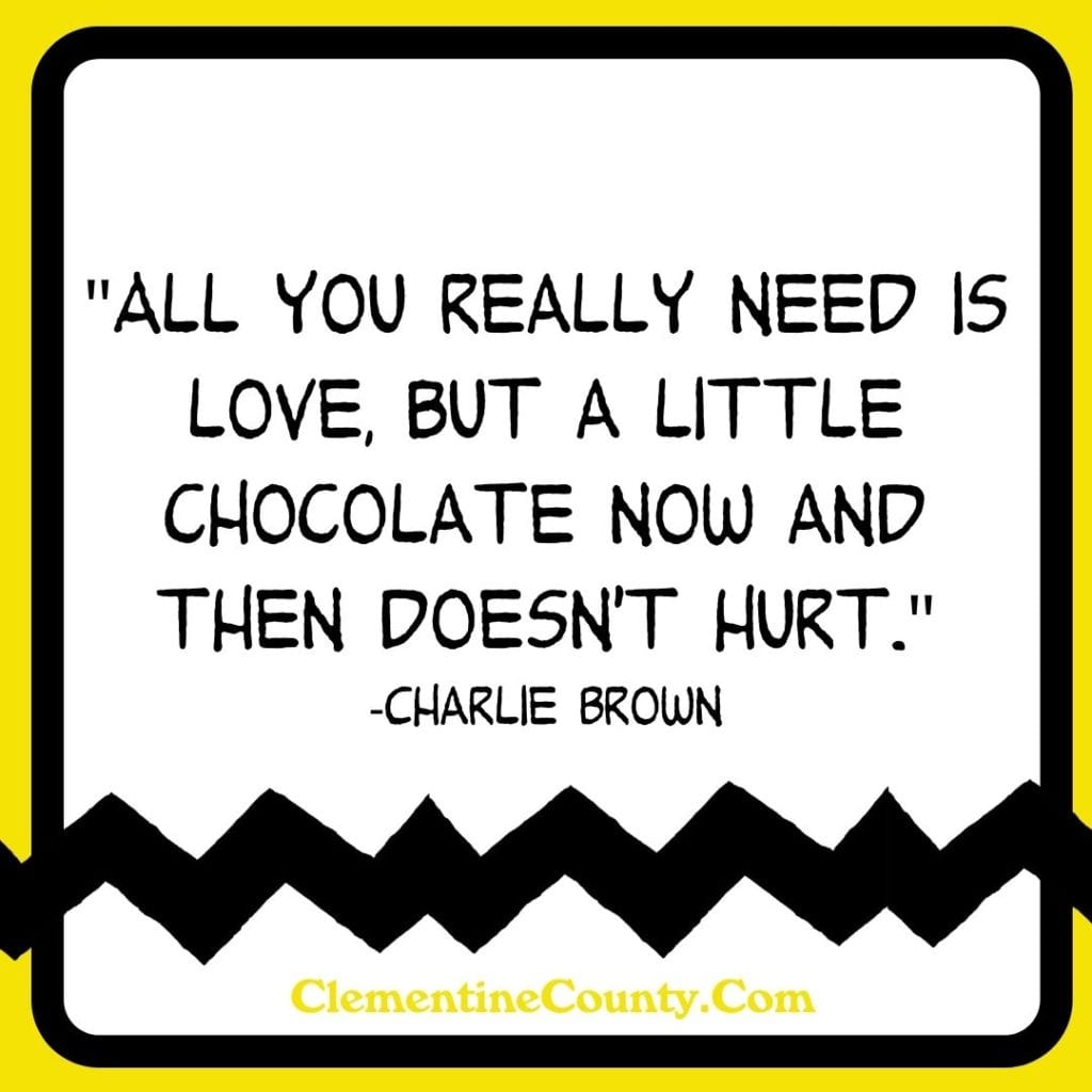 Best Charlie Brown Quotes For Instagram | Clementine County